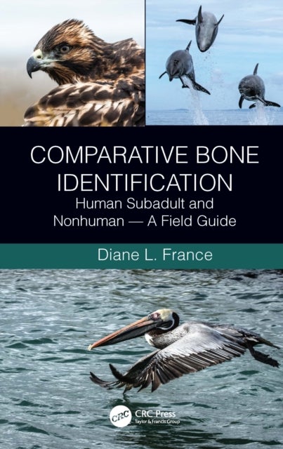 Bilde av Comparative Bone Identification Av Diane L. (colorado State University Fort Collins Usa) France