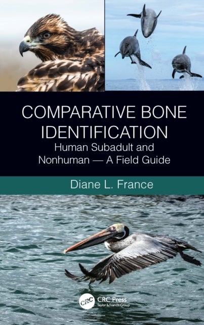 Comparative Bone Identification - Human Subadult and Nonhuman - A Field Guide