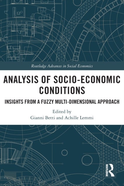 Bilde av Analysis Of Socio-economic Conditions