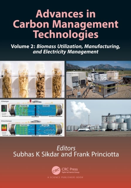 Advances in Carbon Management Technologies - Biomass Utilization, Manufacturing, and Electricity Management, Volume 2