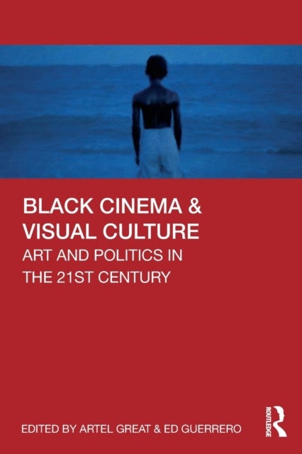 Black Cinema & Visual Culture - Art and Politics in the 21st Century