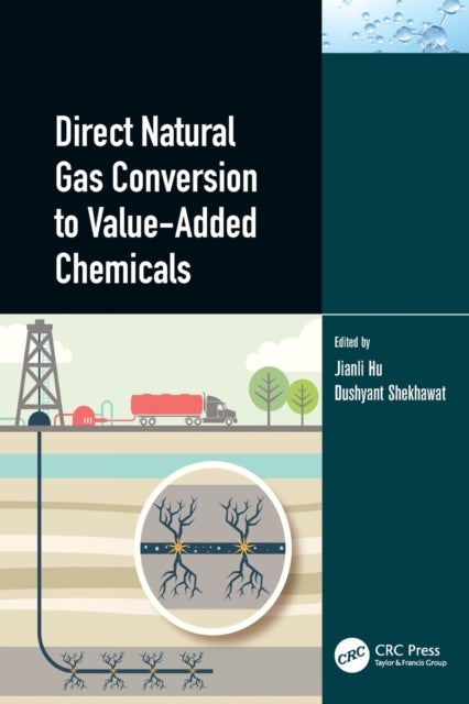 Bilde av Direct Natural Gas Conversion To Value-added Chemicals