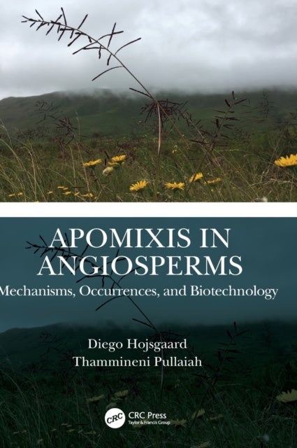Bilde av Apomixis In Angiosperms Av Diego (university Of Goettingen Germany) Hojsgaard, Thammineni (sri Krishnadevarya University India) Pullaiah