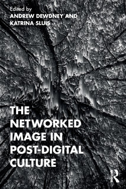 Bilde av The Networked Image In Post-digital Culture