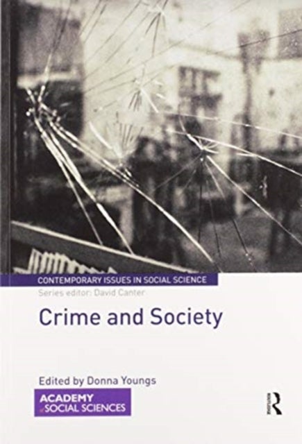 Bilde av Crime And Society
