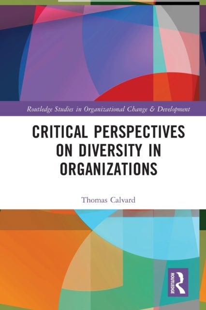 Critical Perspectives on Diversity in Organizations