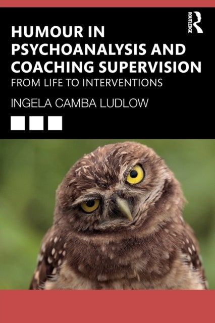 Humour in Psychoanalysis and Coaching Supervision - From Life to Interventions