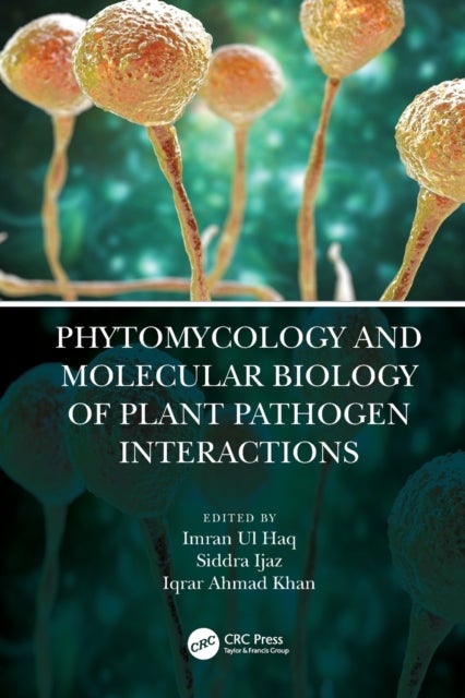 Bilde av Phytomycology And Molecular Biology Of Plant Pathogen Interactions