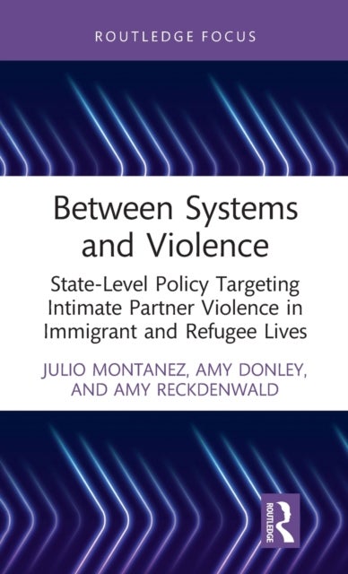 Between Systems and Violence - State-Level Policy Targeting Intimate Partner Violence in Immigrant and Refugee Lives