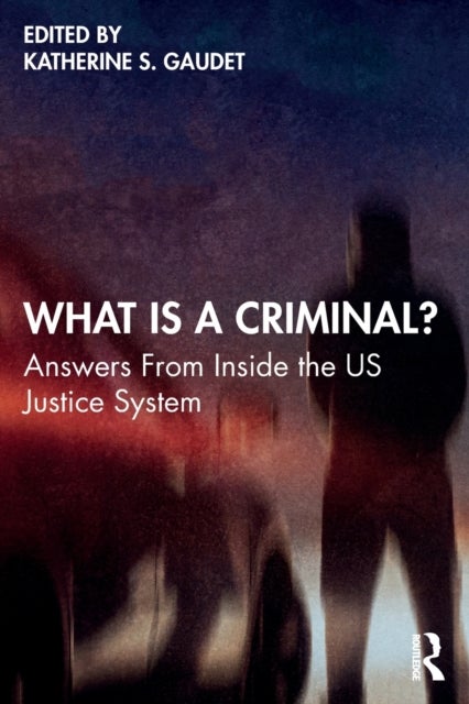 What Is a Criminal? - Answers From Inside the US Justice System