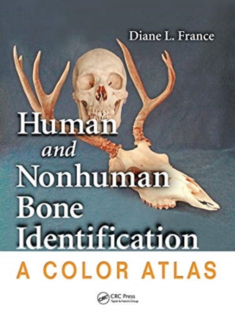 Bilde av Human And Nonhuman Bone Identification Av Diane L. (colorado State University Fort Collins Usa) France