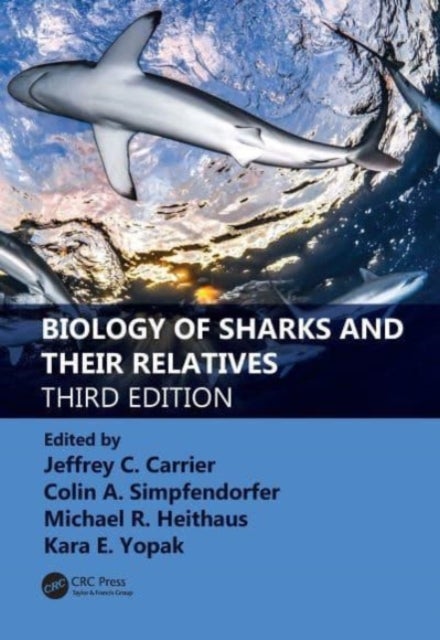Bilde av Biology Of Sharks And Their Relatives