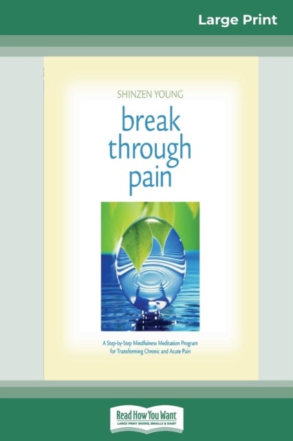 Break Through Pain - A Step-by-Step Mindfulness Meditation Program for Transforming Chronic and Acute Pain (16pt Large Pr