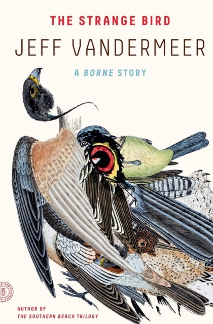 The Strange Bird - A Borne Story