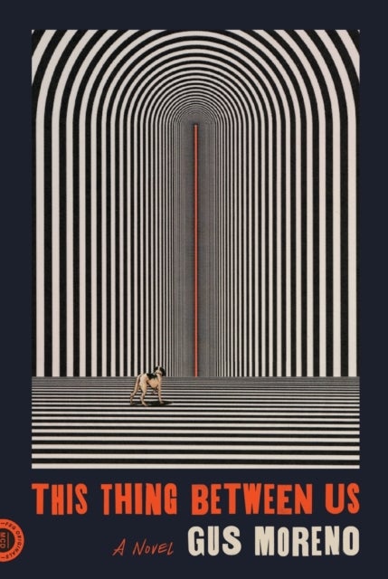 This Thing Between Us - A Novel