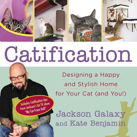 Catification - Designing a Happy and Stylish Home for Your Cat (and You!)