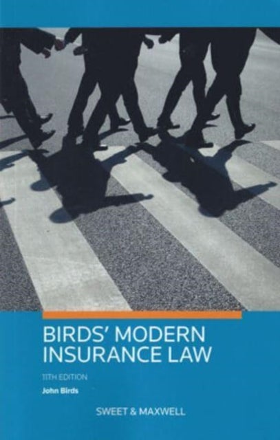 Bilde av Birds&#039; Modern Insurance Law Av Professor John Birds, Dr Katie Richards