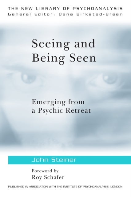 Seeing and Being Seen - Emerging from a Psychic Retreat