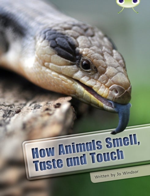 Bilde av Bug Club Independent Non Fiction Year Two White A How Animals Smell, Taste And Touch Av Jo Windsor