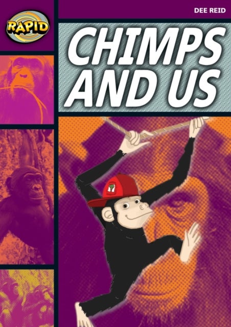 Bilde av Rapid Reading: Chimps And Us (stage 1, Level 1a) Av Dee Reid