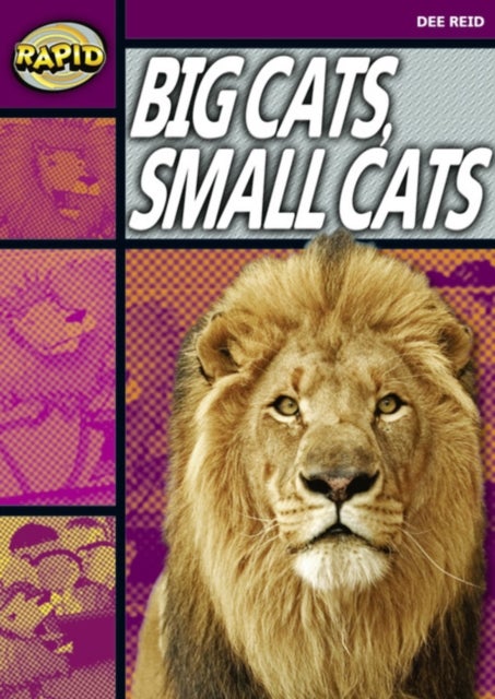 Bilde av Rapid Reading: Big Cats Small Cats (stage 1, Level 1a) Av Dee Reid