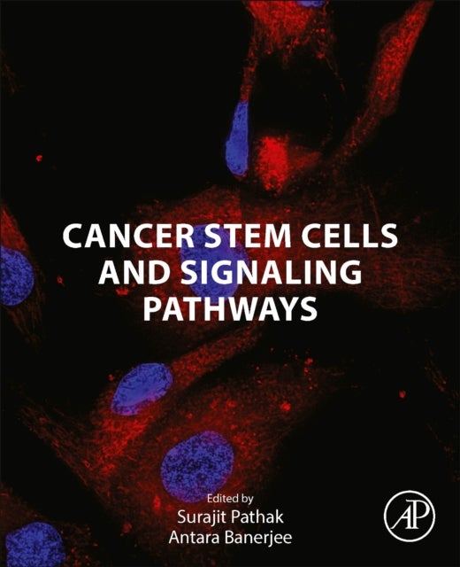 Bilde av Cancer Stem Cells And Signaling Pathways