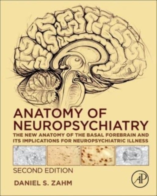 Bilde av Anatomy Of Neuropsychiatry Av Daniel S. (saint Louis University St. Louis Zahm