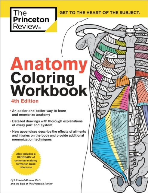 Bilde av Anatomy Coloring Workbook, 4th Edition Av The Princeton Review, Edward Alcamo