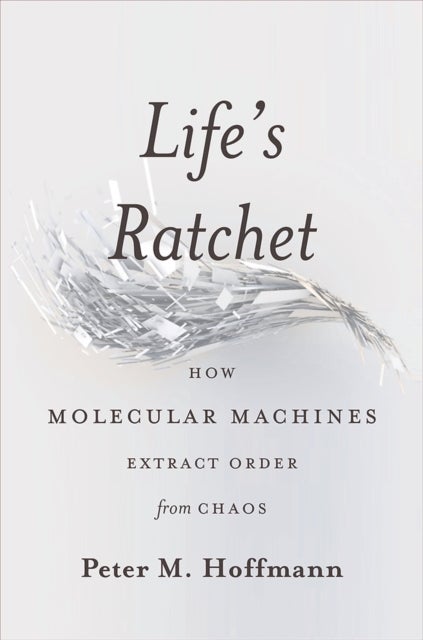 Life's Ratchet - How Molecular Machines Extract Order from Chaos