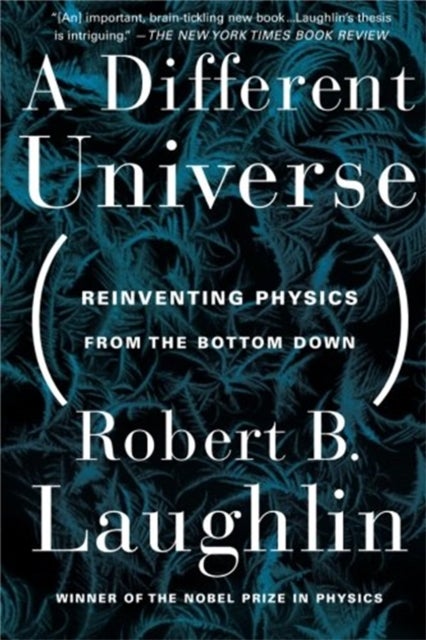A Different Universe - Reinventing Physics From the Bottom Down