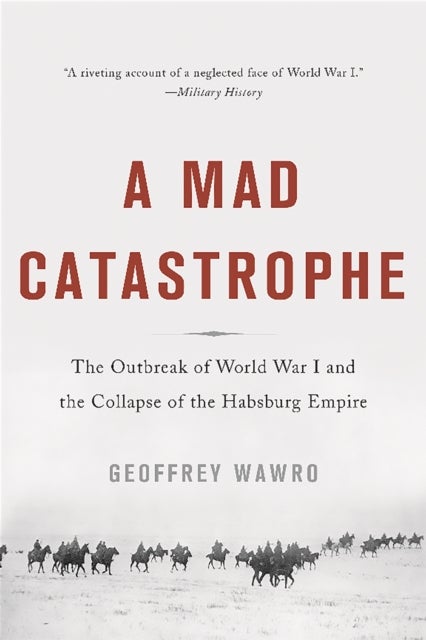 A Mad Catastrophe - The Outbreak of World War I and the Collapse of the Habsburg Empire