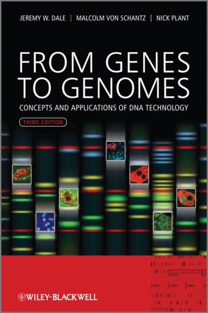 Bilde av From Genes To Genomes Av Jeremy W. (university Of Surrey Uk) Dale, Malcolm (university Of Surrey Uk) Von Schantz, Nicholas (university Of Surrey Uk) P
