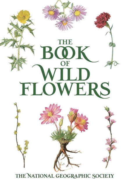 Book of Wild Flowers - Color Plates of 250 Wild Flowers and Grasses