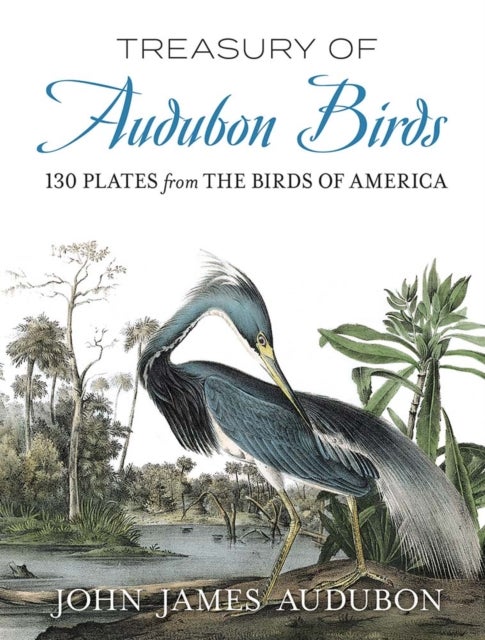 Bilde av Treasury Of Audubon Birds Av John James Audubon, Alan Weissman