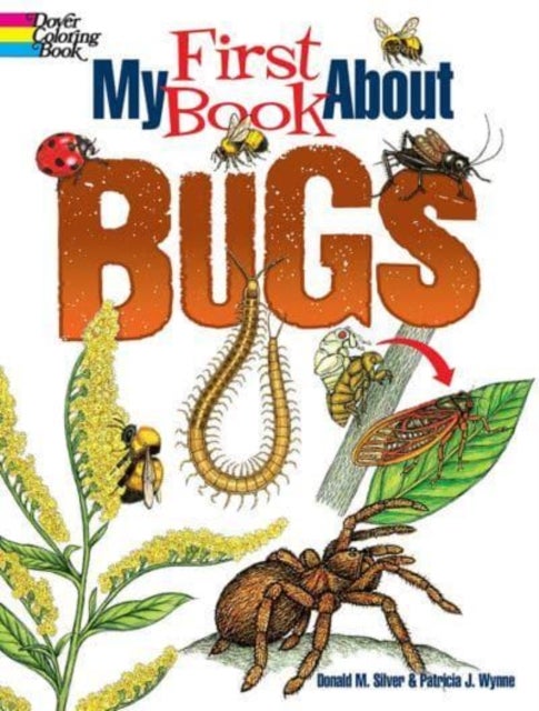 Bilde av My First Book About Bugs Av Patricia Wynne