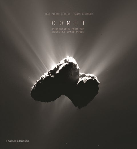 Comet - Photographs from the Rosetta Space Probe