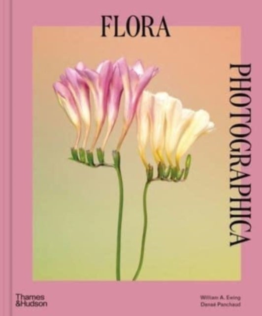 Flora Photographica - The Flower in Contemporary Photography