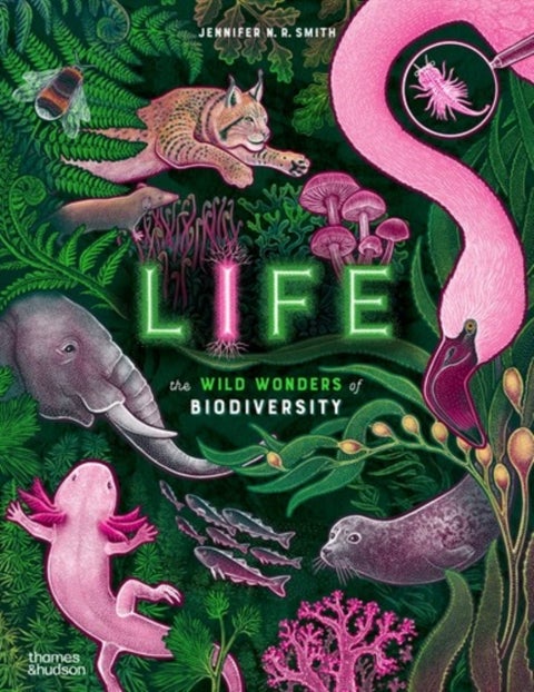Life - The wild wonders of biodiversity