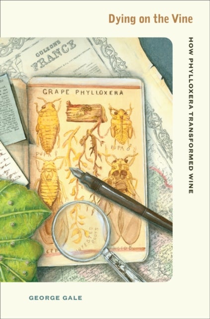 Dying on the Vine - How Phylloxera Transformed Wine