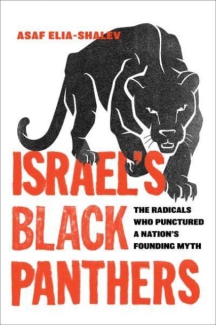 Israel's Black Panthers - The Radicals Who Punctured a Nation's Founding Myth