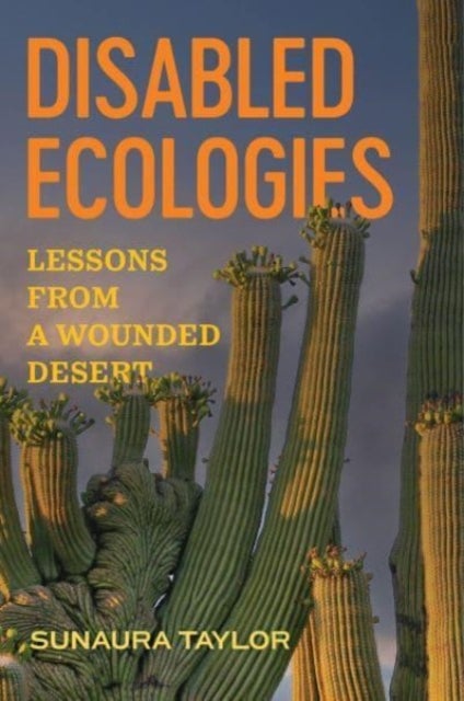 Disabled Ecologies - Lessons from a Wounded Desert