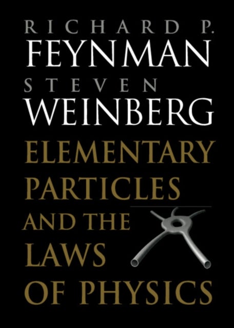Elementary Particles and the Laws of Physics - The 1986 Dirac Memorial Lectures