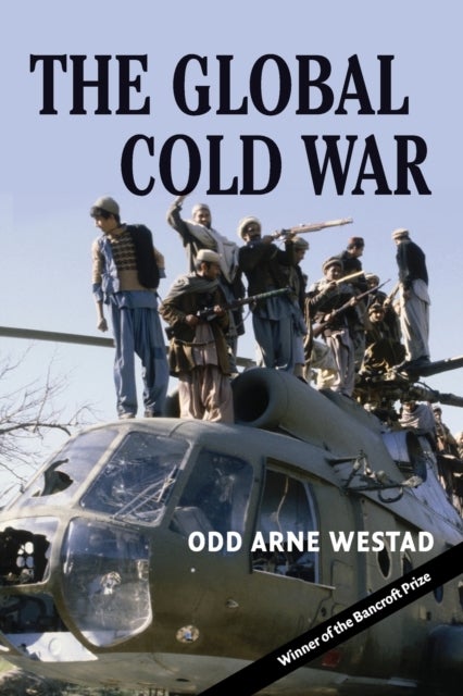 The Global Cold War - Third World Interventions and the Making of Our Times