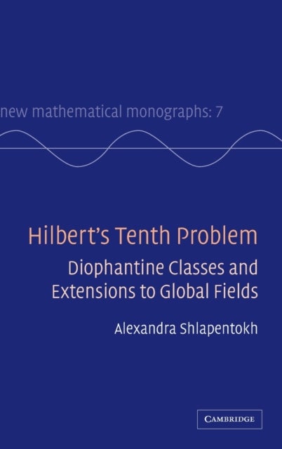 Bilde av Hilbert&#039;s Tenth Problem Av Alexandra (east Carolina University) Shlapentokh