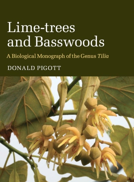 Lime-trees and Basswoods - A Biological Monograph of the Genus Tilia