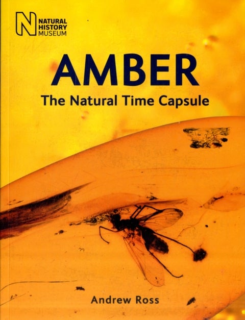 Amber - The Natural Time Capsule