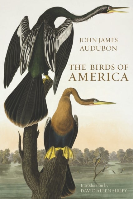 Bilde av The Birds Of America Av John James Audubon