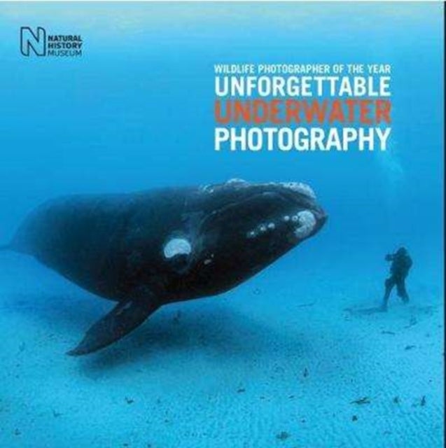 Bilde av Wildlife Photographer Of The Year: Unforgettable Underwater Photography Av Rosamund Kidman Cox