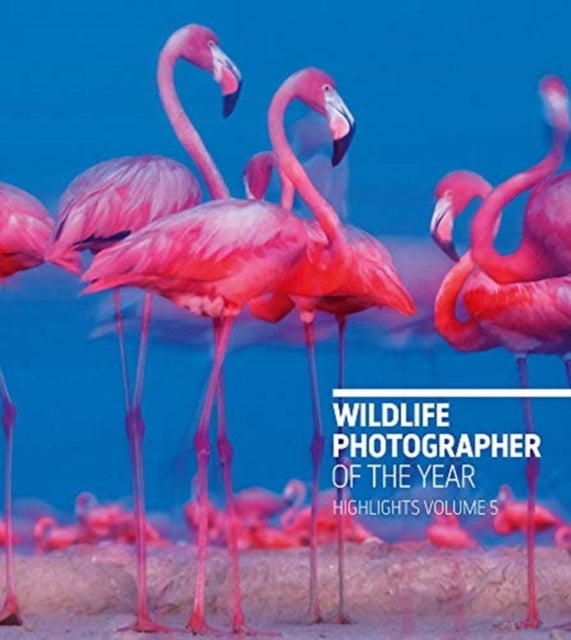 Bilde av Wildlife Photographer Of The Year: Highlights Volume 5 Av Rosamund Kidman Cox