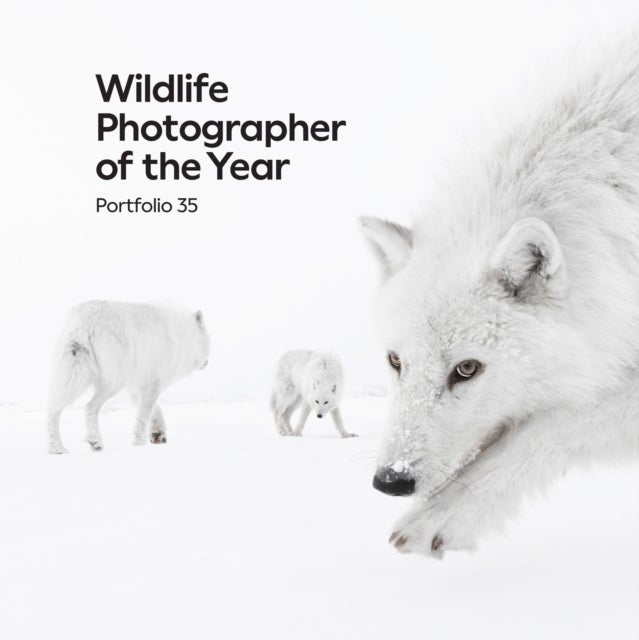 Wildlife Photographer of the Year: Portfolio 35